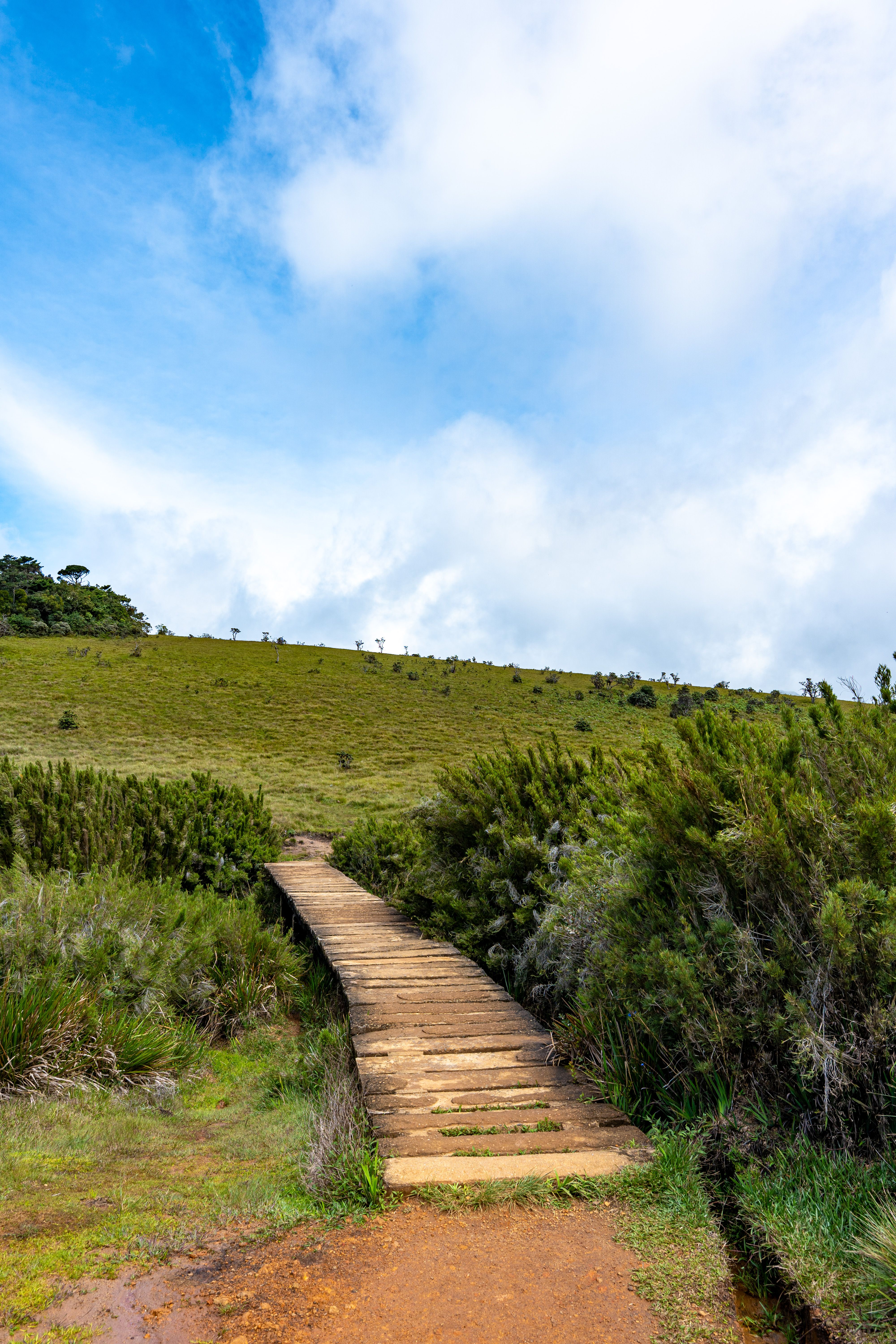 Horton Plains